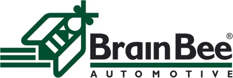 Brain Bee Logo